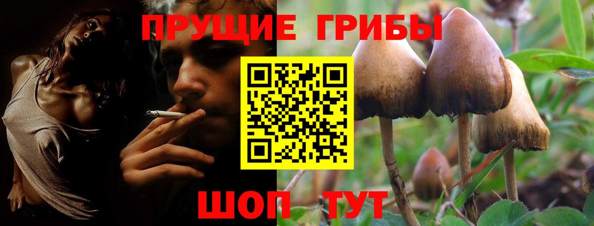 Галлюциногенные грибы GOLDEN TEACHER Химки